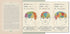 PETER PAN (MINALIMA EDITION) (LLLUSTRATED WITH INTERACTIVE ELEMENTS) -BARRIE. JA